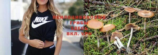дмт Абдулино