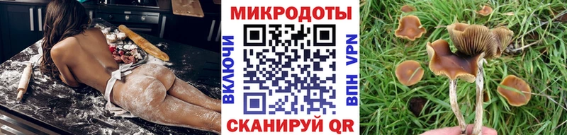 Галлюциногенные грибы MAGIC MUSHROOMS Цоци-Юрт